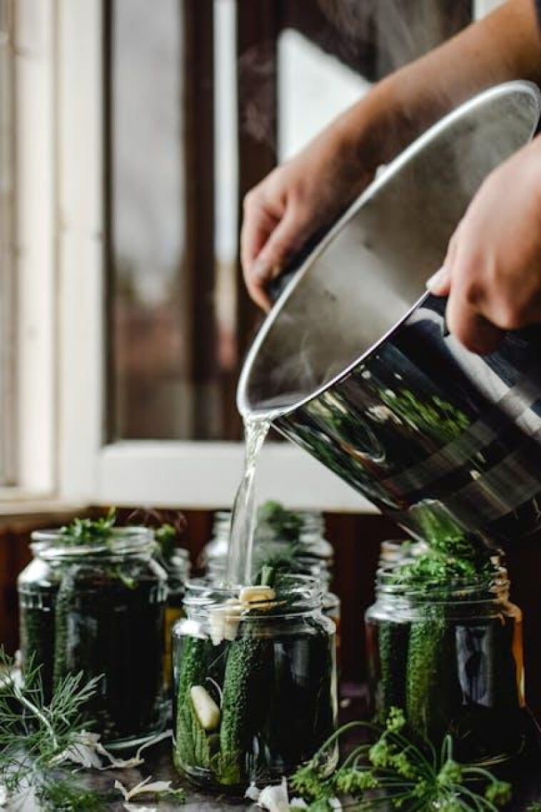 Savor the Flavor: Mastering Post-Harvest Preservation