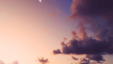 The Magic of Water-soluble CBD