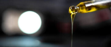 Finding the Perfect Pet-Safe CBD Dose