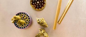 Unlocking the benefits: a guide to medical cannabis