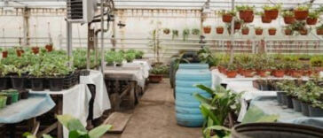 Creating an Indoor Oasis: Setting Up Your Grow Tent