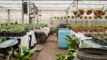 Creating an Indoor Oasis: Setting Up Your Grow Tent