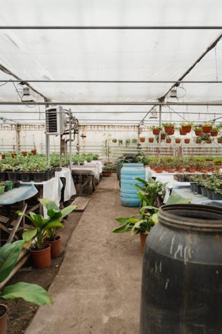 Creating an Indoor Oasis: Setting Up Your Grow Tent