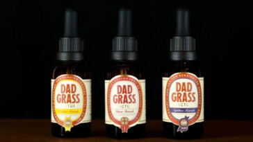 Forecasting the Future: CBD Market Growth Projections