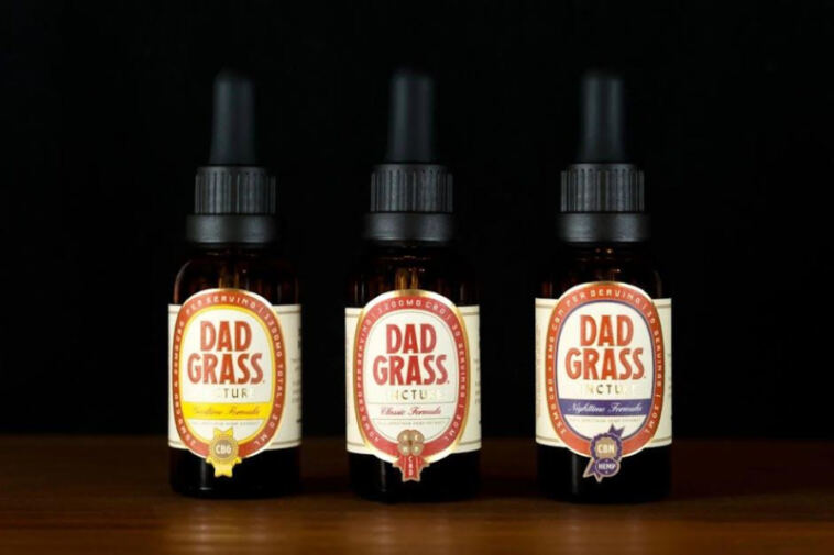 Forecasting the Future: CBD Market Growth Projections