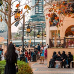 Puff, Pass, and Explore: The Latest Cannabis Tourism Trends