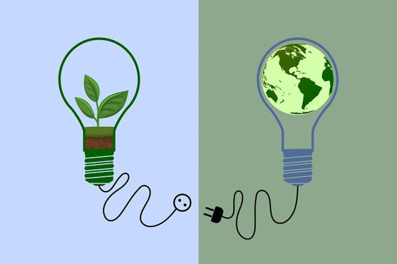 Growing Green: Building a Sustainable Cannabis Co-op