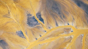 Sun-Kissed Selections:Top Strains for Hot Weather