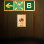 Exploring Cannabis: Top Tour Locations