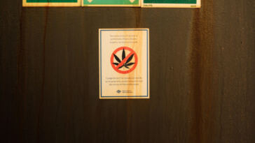 Exploring Cannabis: Top Tour Locations