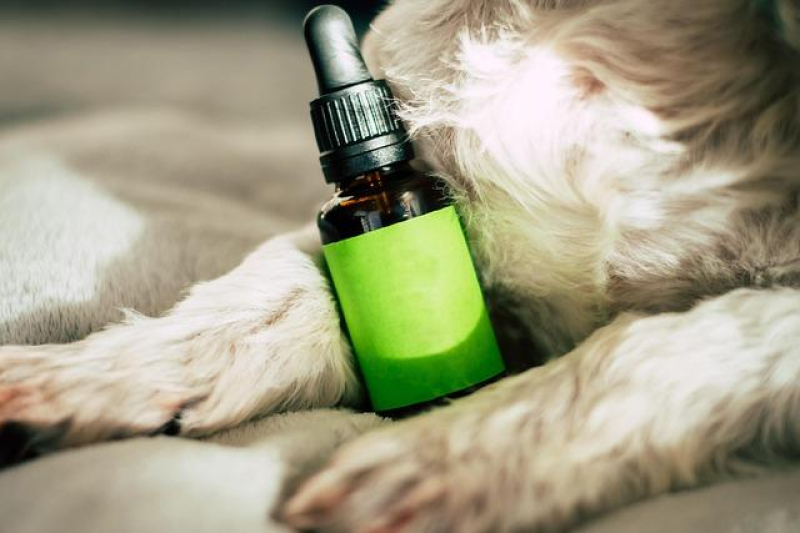 Unlocking the Benefits: CBD for Better Sleep