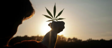 High Hopes: Unleashing Creativity with Cannabis