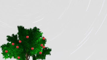 Balancing the Scales: Equity Initiatives in the Cannabis Industry