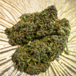 Merry Bud-mas: Festive Cannabis Strains for the Holidays