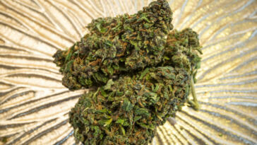 Merry Bud-mas: Festive Cannabis Strains for the Holidays