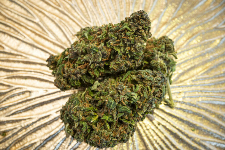 Merry Bud-mas: Festive Cannabis Strains for the Holidays