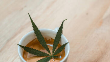 Exploring the Intersection of Cannabis and Cuisine