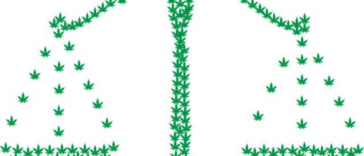 Budding Progress: Cannabis Legalization Developments