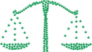 Budding Progress: Cannabis Legalization Developments