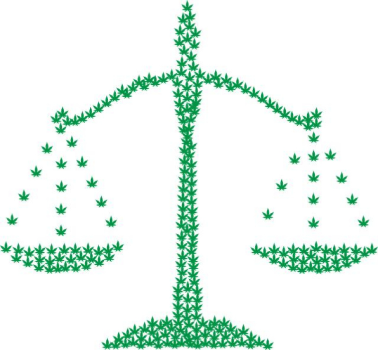 Budding Progress: Cannabis Legalization Developments