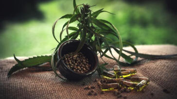 CBD Consumption Showdown: Edibles vs. Vaping