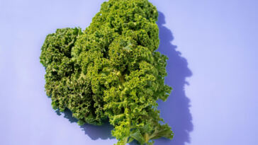 Plant-Powered Pot: The Growing Trend of Vegan Cannabis Edibles