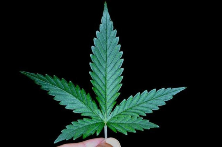 Mary Jane to the Rescue: Relieving Menstrual Pain with Weed