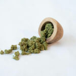 Green Relief: Cannabis Benefits for Senior Pain