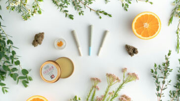 Evolving Cannabis: Cutting-Edge Product Advancements