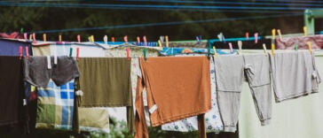 Mastering the Art of Drying and Curing Cannabis Buds