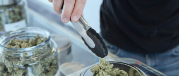 Exploring the Connection between Cannabis and Spirituality