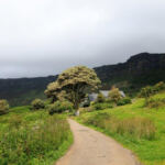 High Times Ahead: Crafting Your Perfect Cannabis Getaway