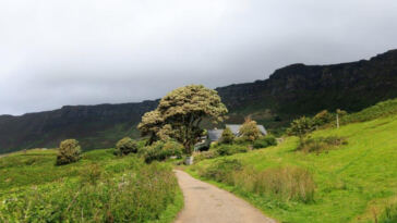 High Times Ahead: Crafting Your Perfect Cannabis Getaway