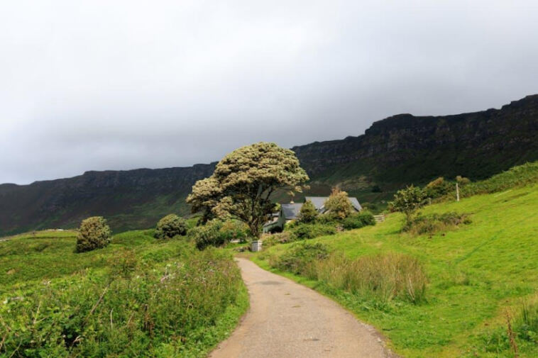 High Times Ahead: Crafting Your Perfect Cannabis Getaway