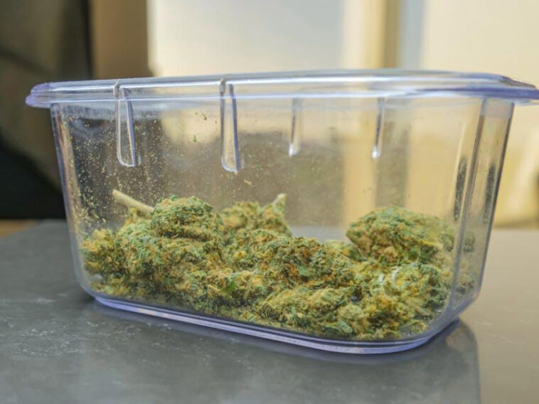 Terpene Tales: Discover the Best Cannabis Strains