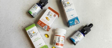 Finding the Perfect Pawscription: CBD Dosage Guide for Pets