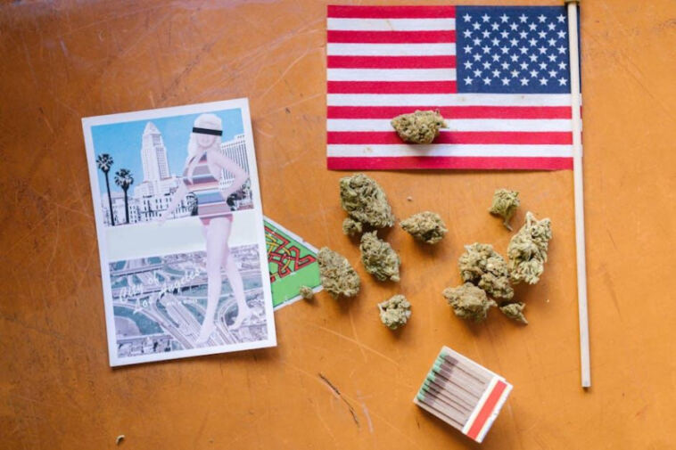 High Times: Cannabis Tourism in Legal Countries