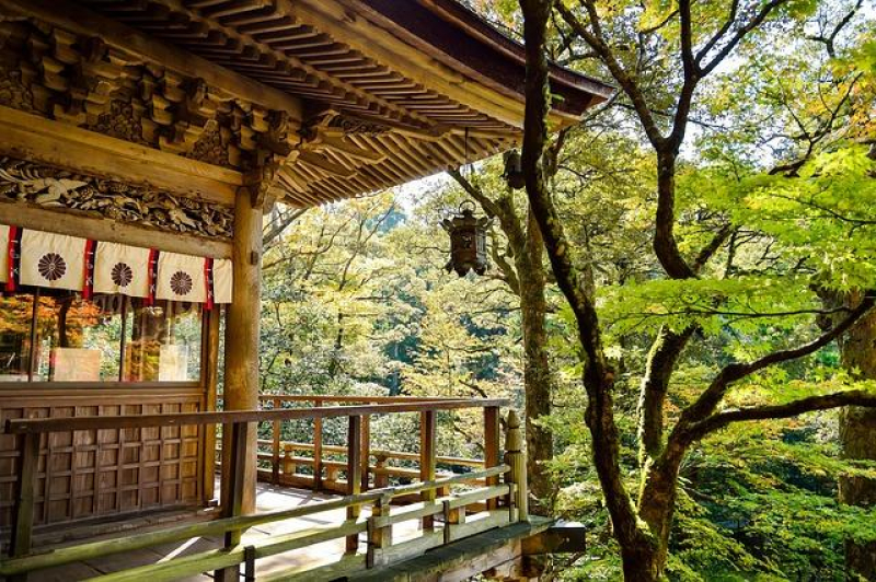 High Times: Exploring the Best Weed Destinations Across the Globe