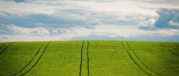 Growing Cannabis in the Concrete Jungle