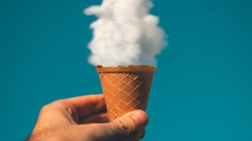 Unlocking Creativity: Top Strains for Focus and Innovation