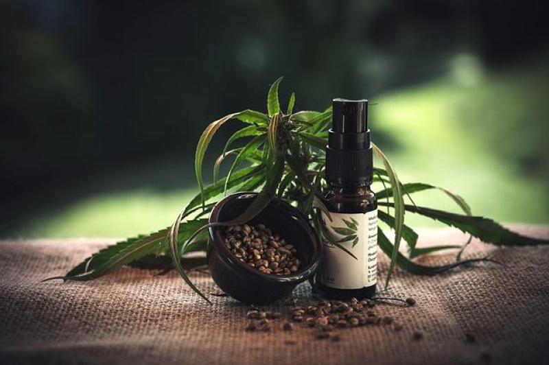 CBD Chronicles: The Best Products Revealed