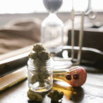 The Ever-Changing Landscape: Cannabis Legalization Updates
