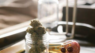 The Ever-Changing Landscape: Cannabis Legalization Updates