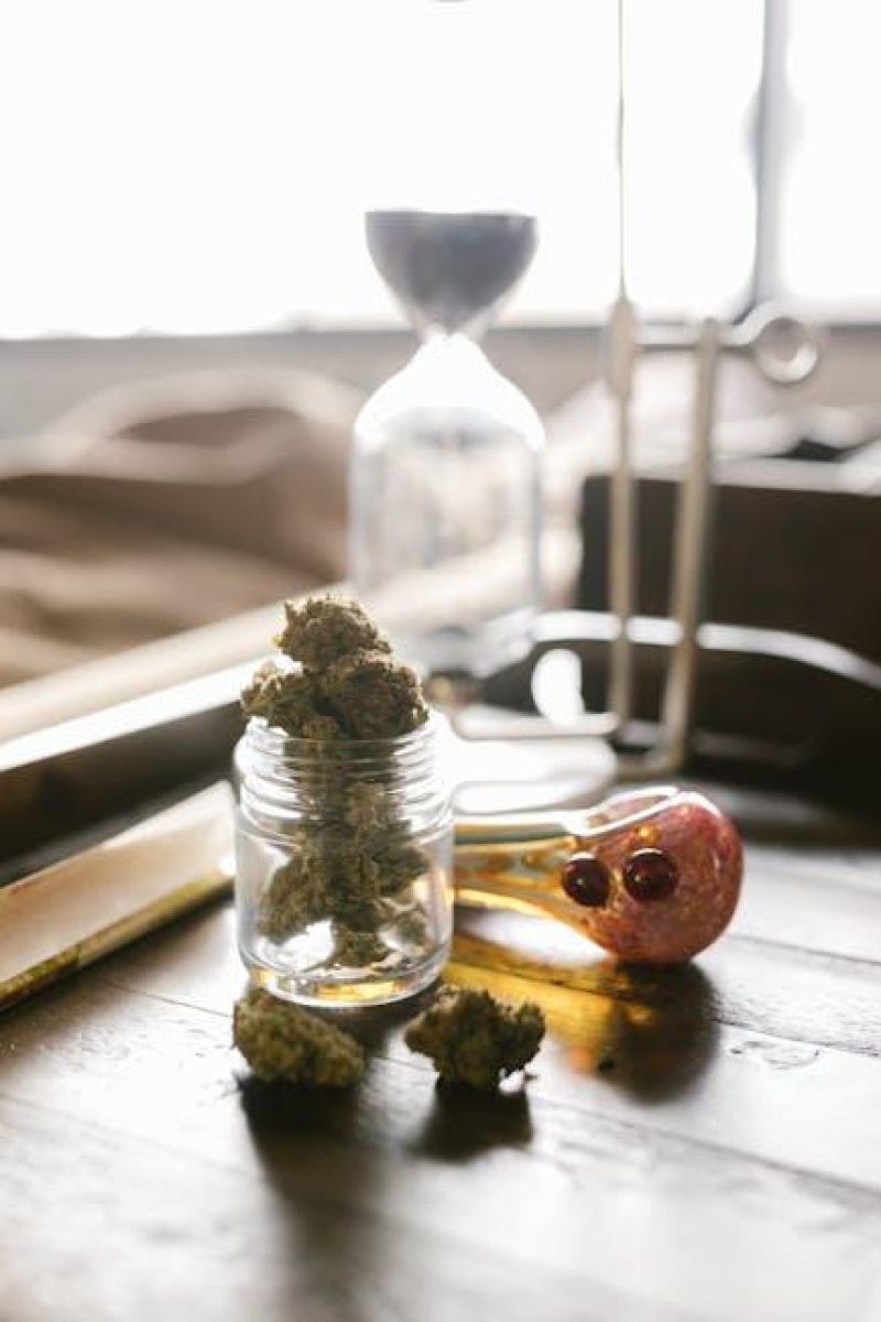 The Ever-Changing Landscape: Cannabis Legalization Updates