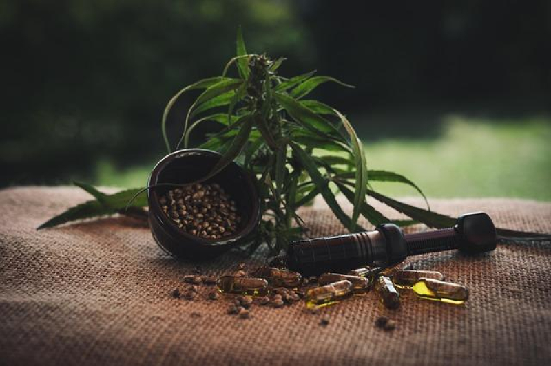 CBD Gummies vs. Oils: The Ultimate Comparison Showdown