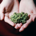 Cannabis: A Game-Changer for Sports Injuries