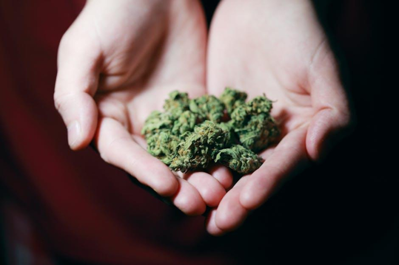 Cannabis: A Game-Changer for Sports Injuries