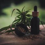 Exploring the Healing Powers of CBD and THC