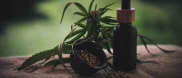 Exploring the Healing Powers of CBD and THC