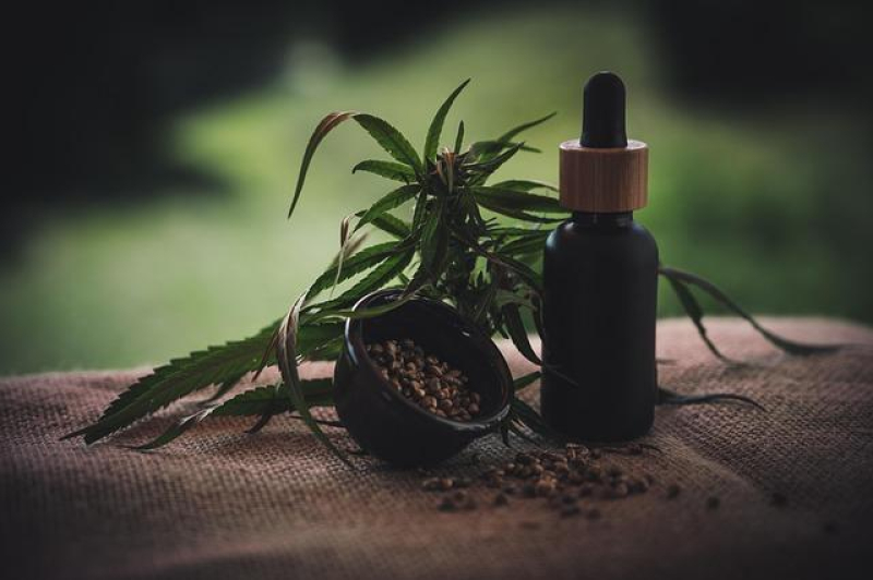 Exploring the Healing Powers of CBD and THC